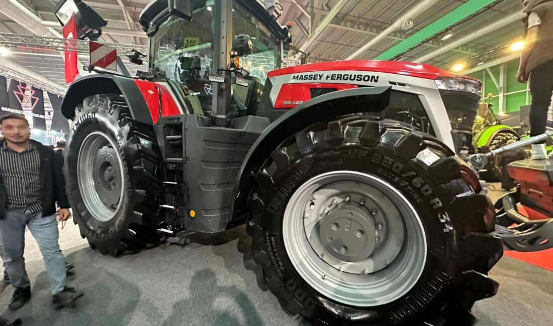 Artış hızı yarı yarıya düştü Verilere göre, 2025 yılı sonunda