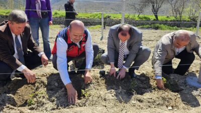 Pınarkaya köyünde gerçekleştirilen programda 5 çiftçiye toplam 3 bin 375