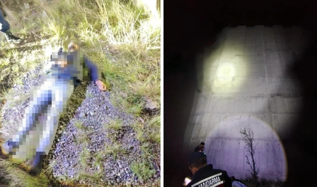 70 metrelik yükseklikten karayoluna düştü Olay, saat 22.00 sıralarında Artvin-Ardanuç