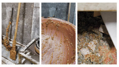 Kötü koku gerçekleri ortaya çıkardı Olay, Kırıkhan ilçesi 521. Sokak