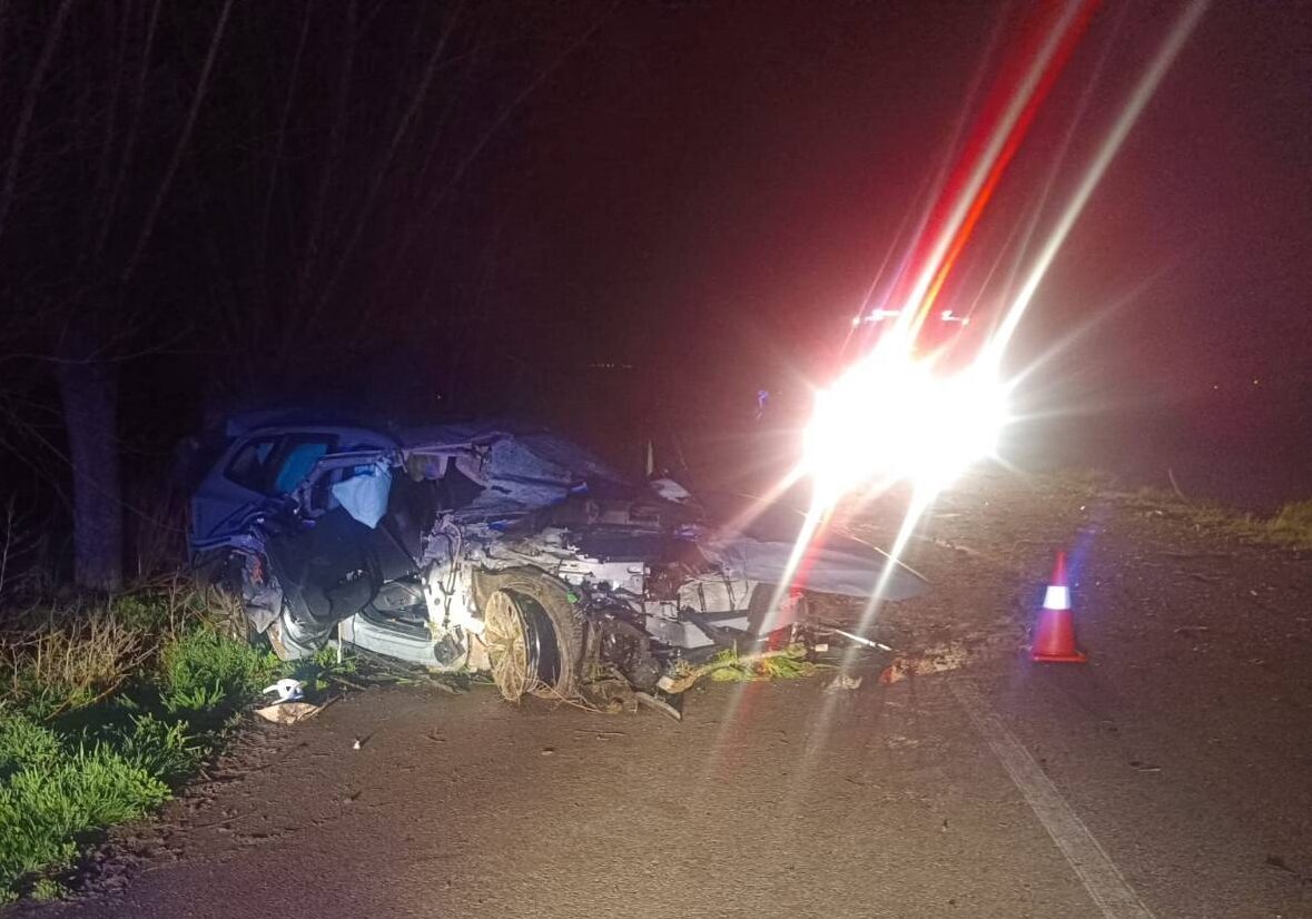 AFYONKARAHİSAR (AA) – Afyonkarahisar'da otomobilin ağaca çarpması sonucu 1 kişi