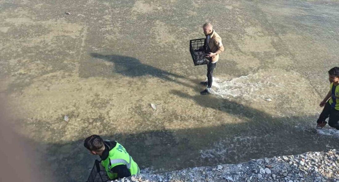 Afyonkarahisar’da su seviyesi artan barajın açılan kapaklarındaki akıntıyla sürüklenen balıklar