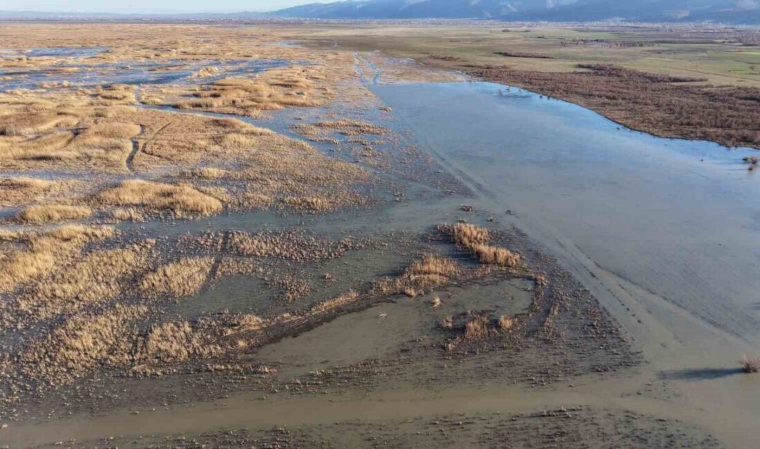 Türkiye’nin önemli sulak alanlarından biri olan ve Akşehir ile Sultandağı