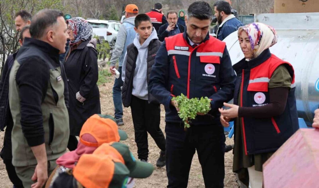 Afyonkarahisar Dinar İlçe Tarım ve Orman Müdürlüğü tarafından yüzde 100
