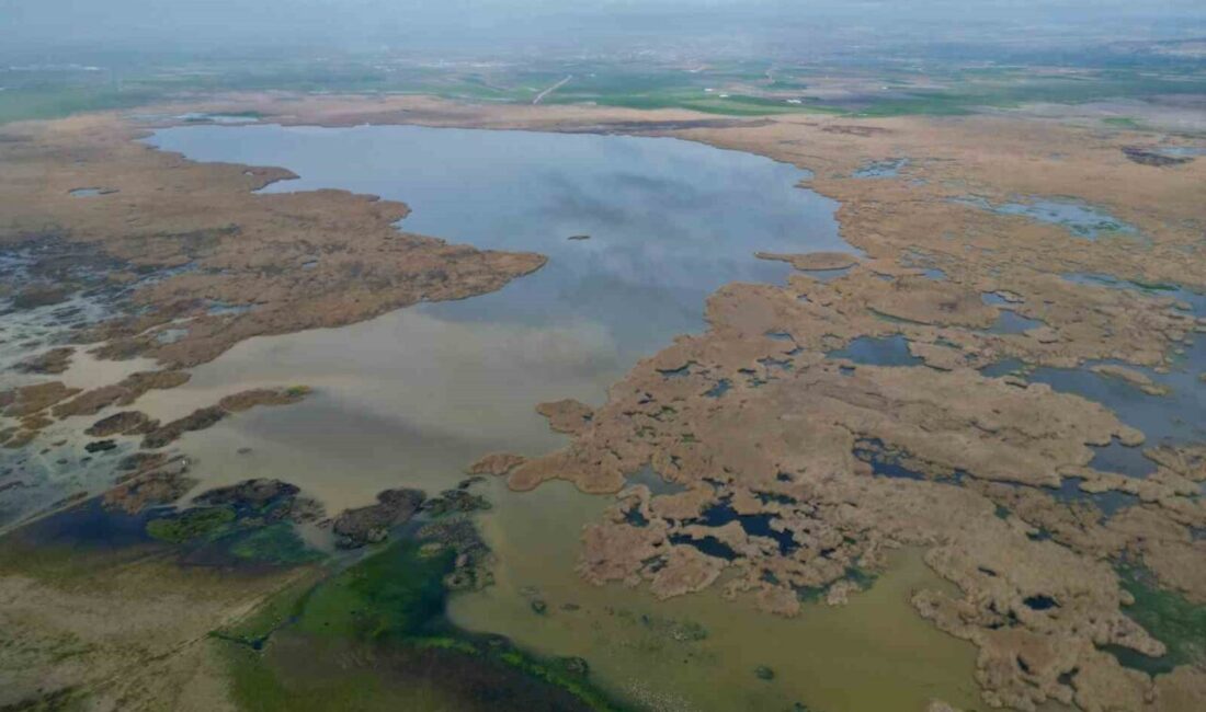 Son yıllarda sıklıkla kuraklıkla gündeme gelen Eber Gölü’nde son yaşanan
