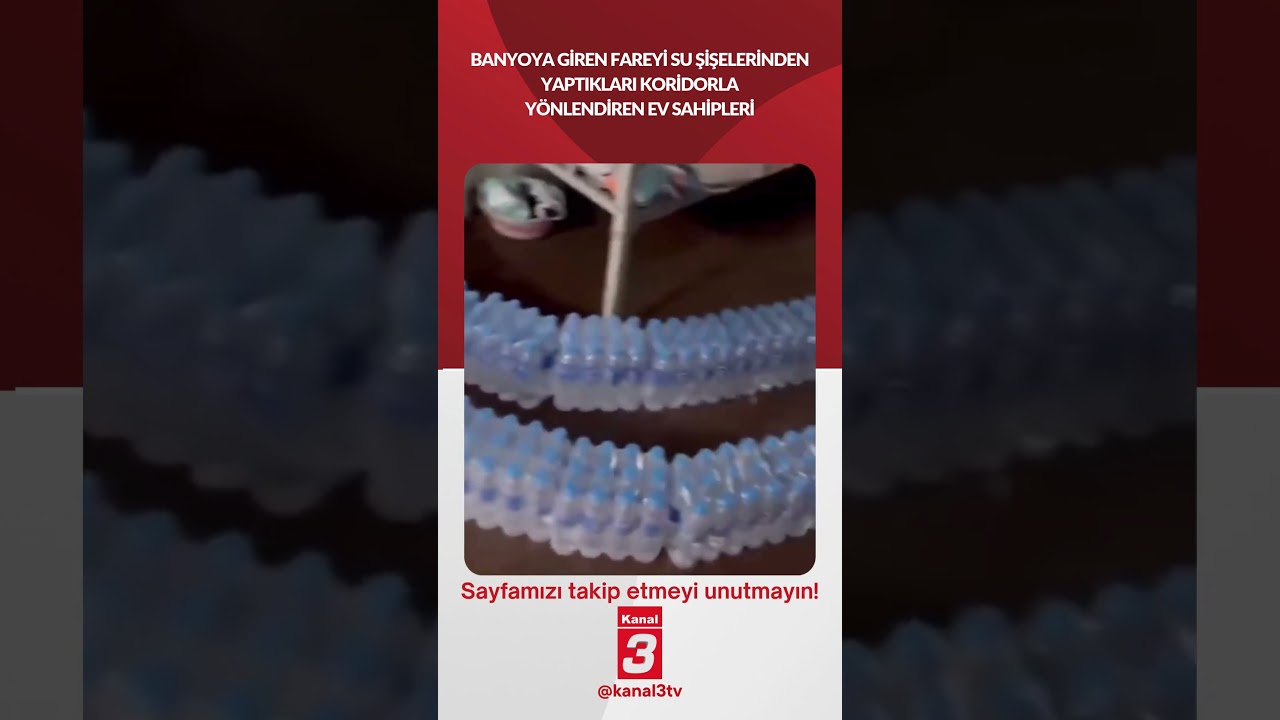 Banyoya giren fareyi su şişelerinden yaptıkları koridorla yönlendiren ev sahipleri…