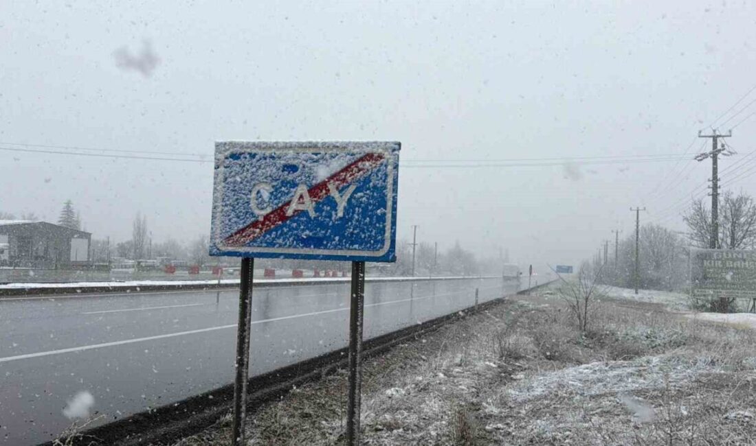 Afyonkarahisar’ın Çay ilçesinde lapa lapa yağan kar yağışı sonrası etraf