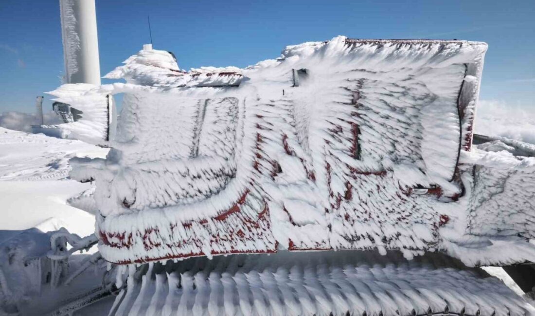 Afyonkarahisar’ın Kumalar Yaylası’nda kurulu rüzgâr türbinlerinin bakımını yapmak isteyen şirket