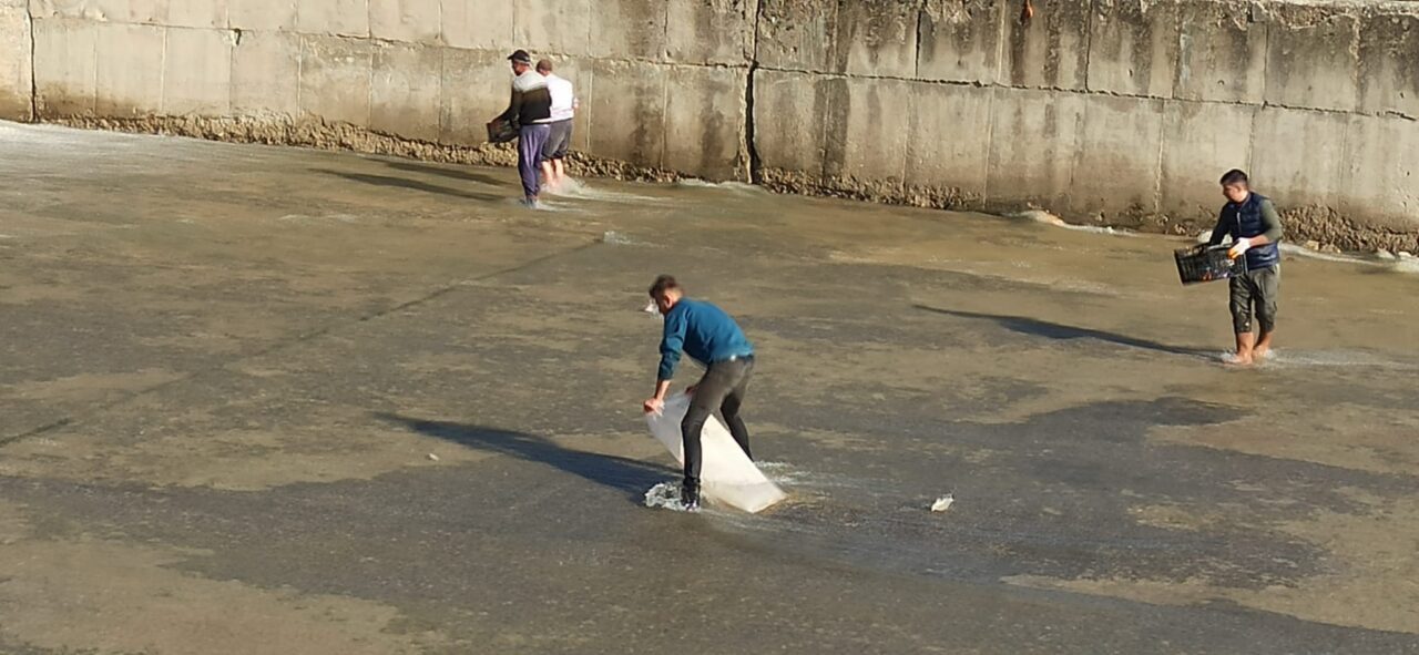 AFYONKARAHİSAR (AA) – Sandıklı ilçesinde vatandaşlar, Örenler Barajı'nın taşan savağından