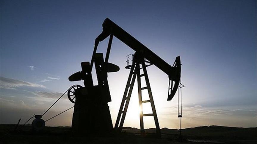 Türkiye şokta!  Üniversite kampüsünde petrol bulundu!