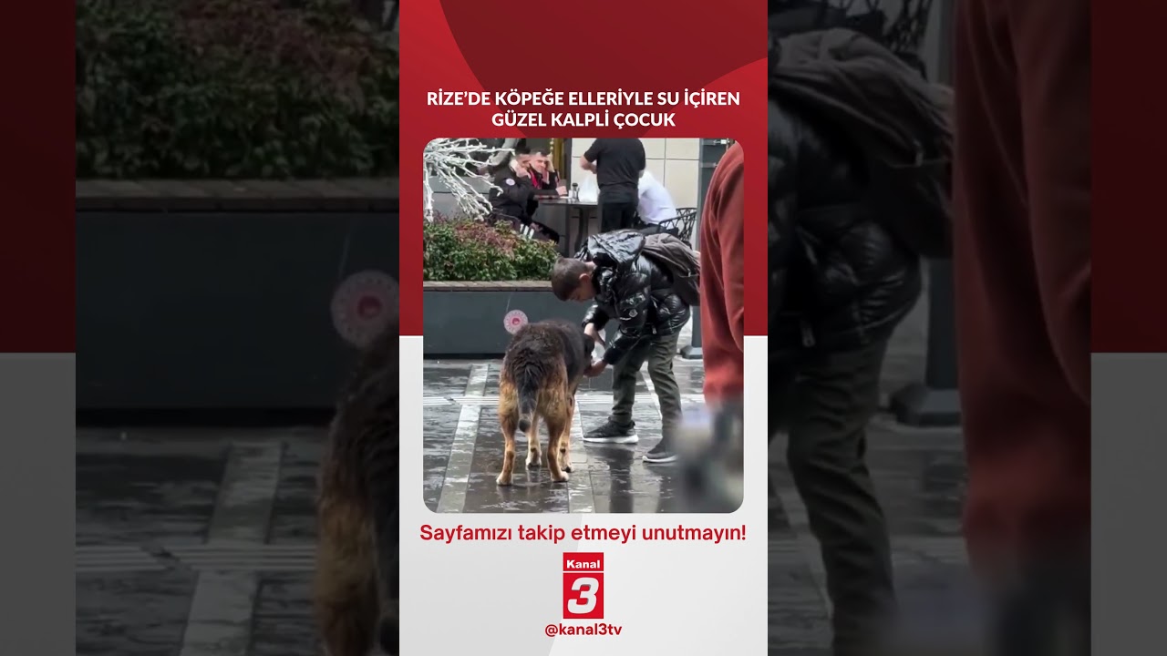 Rize’de köpeğe elleriyle su içiren güzel kalpli çocuk sosyal medyada beğeni aldı…