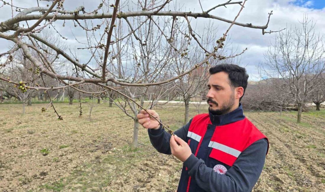 Olumsuz hava şartlarının devam ettiği Afyonkarahisar’da yaşanabilecek zirai don olaylarına