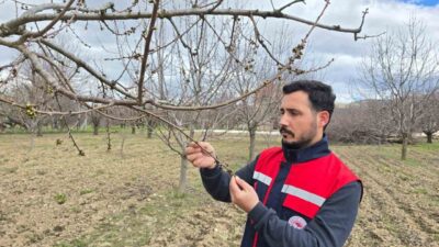 Olumsuz hava şartlarının devam ettiği Afyonkarahisar’da yaşanabilecek zirai don olaylarına