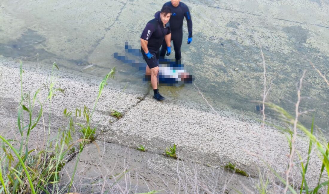 Olay, Yüreğir ilçesine bağlı Tahsilli Mahallesi Ege Bağatur Bulvarı üzerindeki