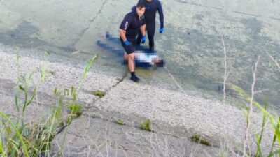 Olay, Yüreğir ilçesine bağlı Tahsilli Mahallesi Ege Bağatur Bulvarı üzerindeki