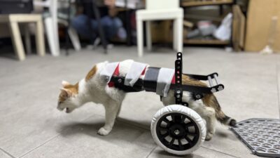Soğuk demire merhametle şekil veriyor Mesleki bilgi birikimini felçli ve