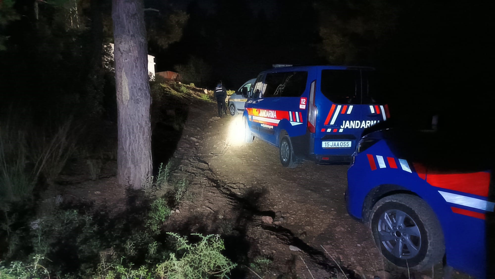 Gece yarısı başlayan kabusun altından vahşet çıktı