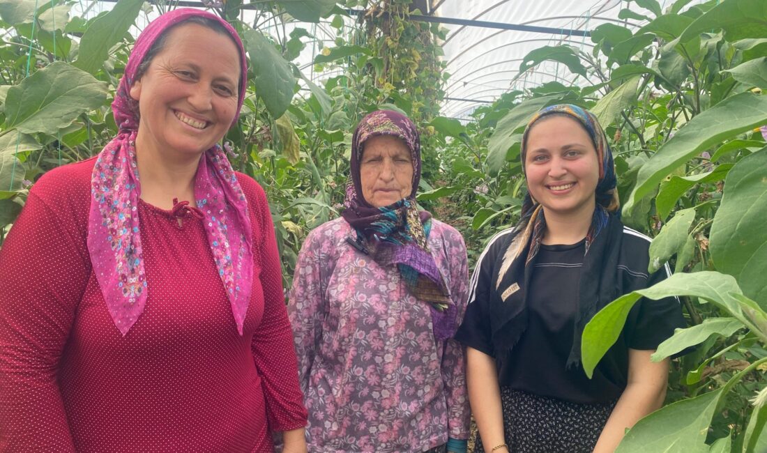 On dönümlük seradan yaylaya kesintisiz üretim Boztepe Mahallesi’nde yaklaşık 25