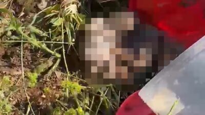 Vatandaşların dikkati dehşeti ortaya çıkardı Olay, Şanlıurfa Yeni Asri Mezarlığı’nda