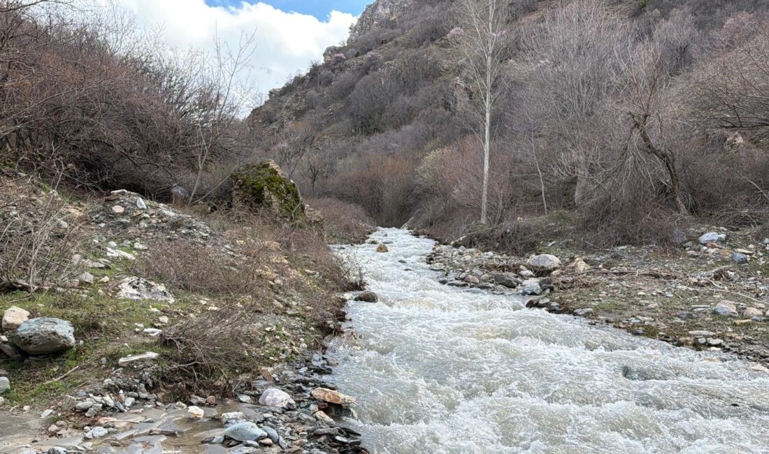 Kuraklık tehlikesi yaşayan göle can suyu Çay ilçesine bağlı Eber