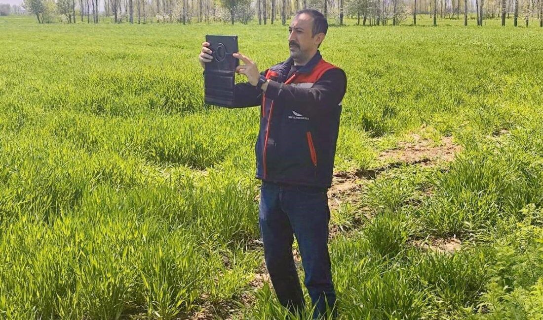 4 ilçede eş zamanlı saha çalışması Afyonkarahisar Tarım ve Orman
