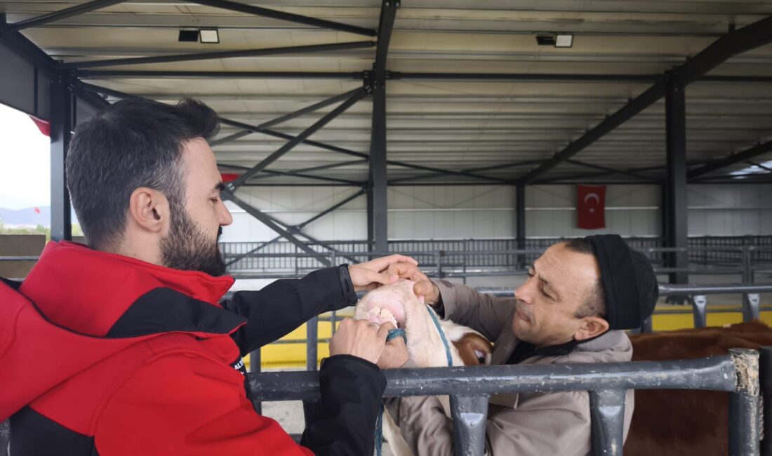 Bolvadin İlçe Tarım ve Orman Müdürlüğü personelleri, yaklaşan Kurban Bayramı