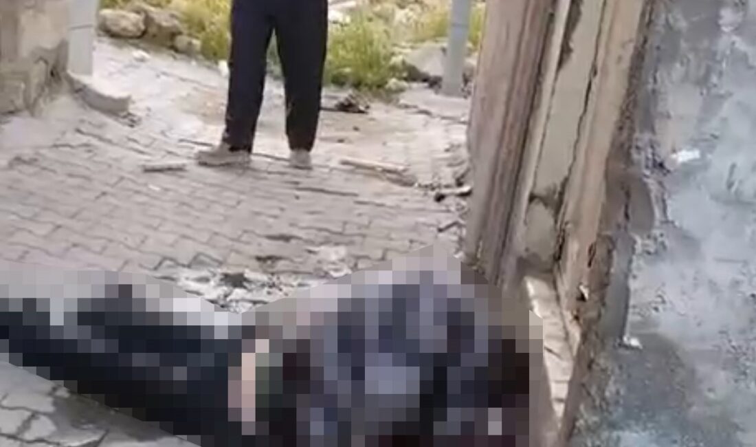 Bayram namazı saatinde vatandaşlar fark etti Olay, Siirt merkezde bulunan