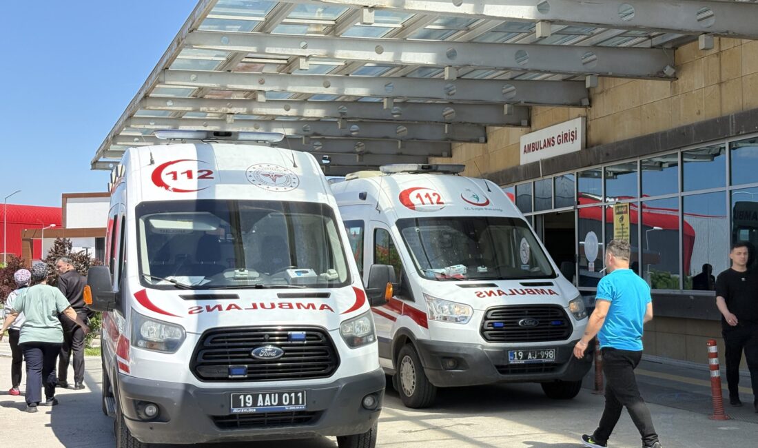 Bayram namazının hemen ardından başladılar Kent merkezi, ilçeler ve köylerde