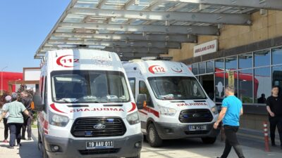 Bayram namazının hemen ardından başladılar Kent merkezi, ilçeler ve köylerde