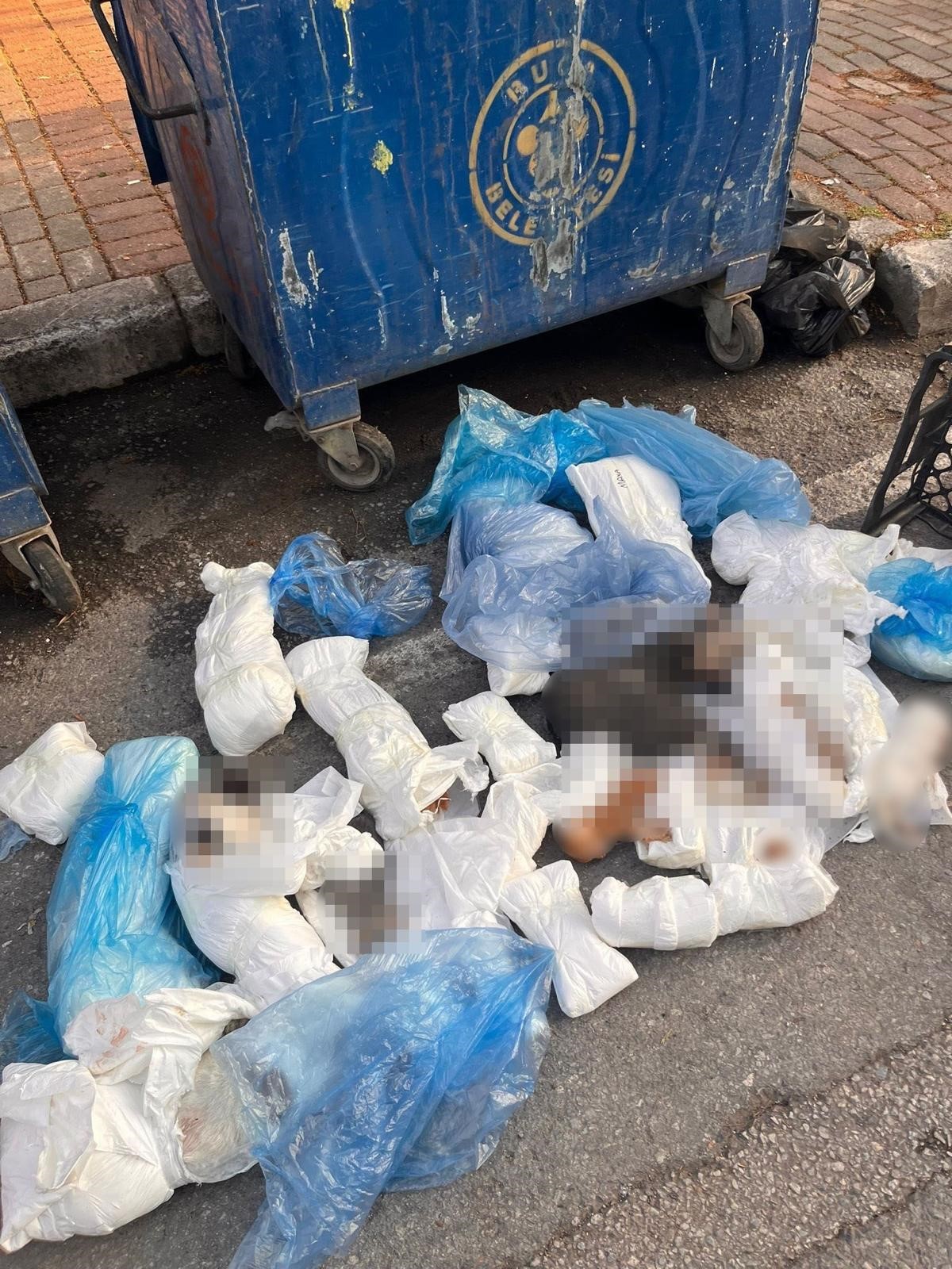 Kedi katliamı davasında yeni gelişme! Başsavcılığın itirazı olayı değiştirdi!