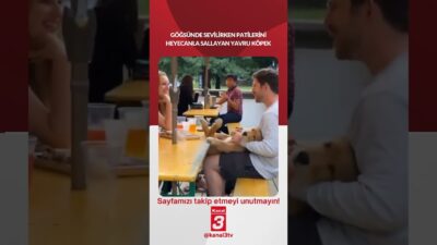 Göğsünde sevilirken patilerini heyecanla sallayan yavru köpek… https://kanal3.com.tr/ Sosyal Medya