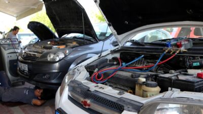 Türkiye Şoförler ve Otomobilciler Federasyonu (TŞOF) Başkanı Mehmet Yiğiner, Kurban