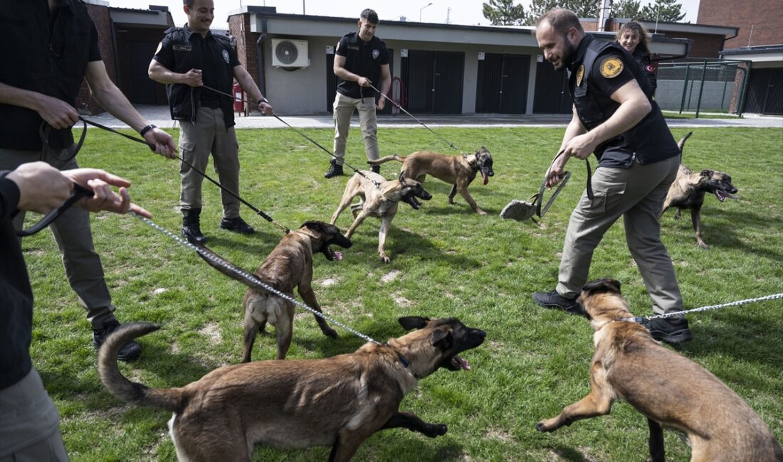 EGM Narkotik Suçlarla Mücadele Başkanlığına bağlı Köpek Eğitim Merkezi’nde (KEM)