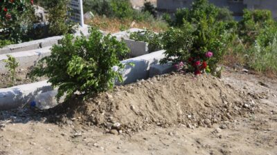 Olay, 27 Mayıs tarihinde Kurban Bayramı’nın birinci gününde Yayladağı ilçesi