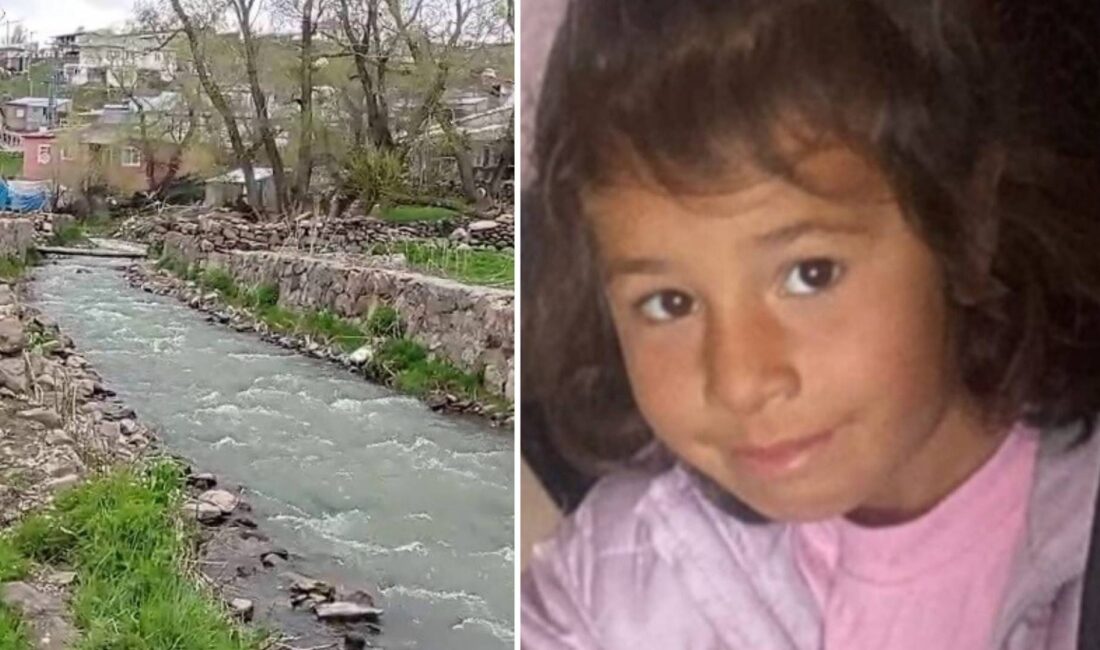 Akıntıya kapılan çocuk nehir yönüne sürüklendi Olay, Tekman ilçesine bağlı