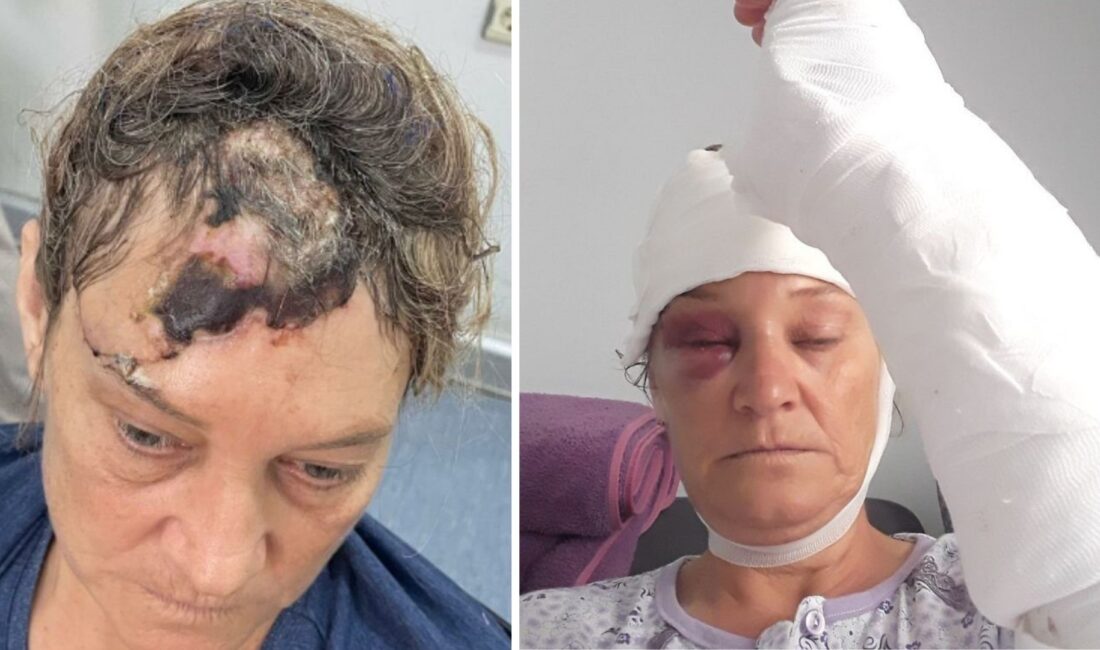 Görev tanımında yoktu, beslemek için gitti Feci olay, 20 Ağustos