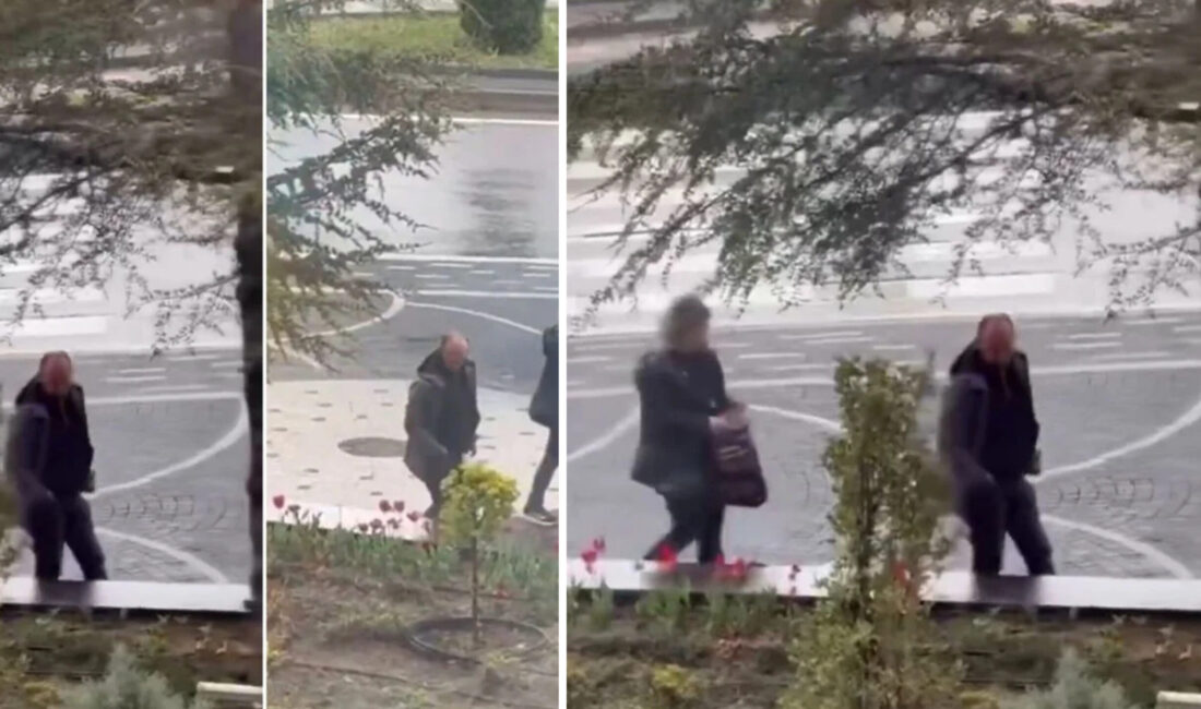 Çantayı ağzına kadar doldurdular Görüntülerde, park ve bahçelerdeki rengarenk lalelerin