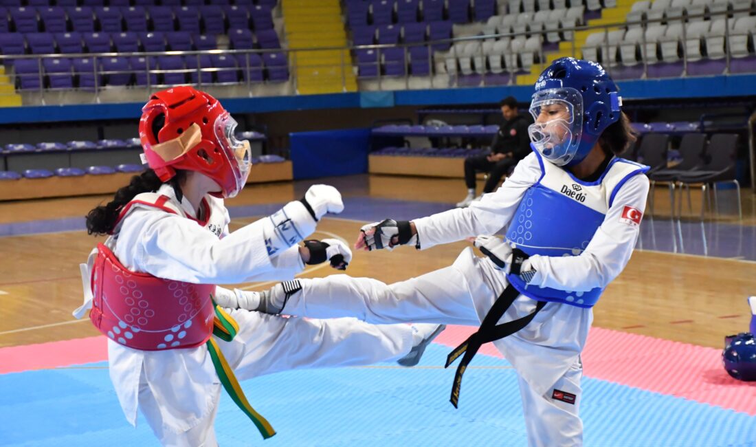 Gençlik Haftası programı kapsamında gerçekleştirilen satranç, eskrim ve taekwondo müsabakaları
