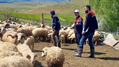 İl Tarım ve Orman Müdürlüğü ekipleri tarafından gerçekleştirilen çalışmalar kapsamında