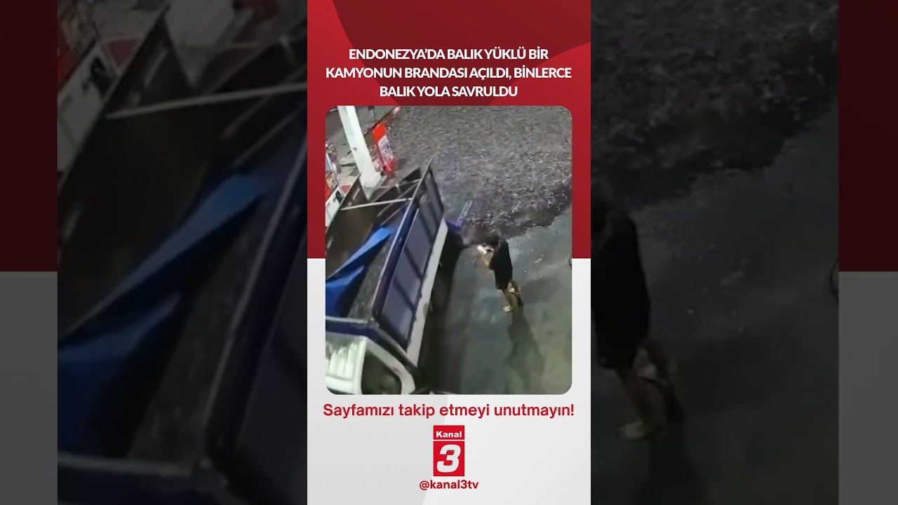 Balık yüklü bir kamyonun brandası açıldı, binlerce balık yola savruldu…