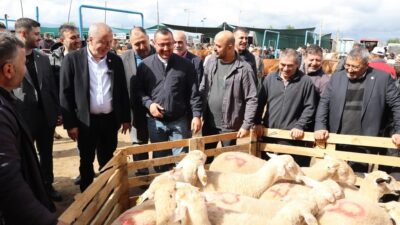 Sahadaki yoğun ilgiyle gerçekleşen ziyarette kurban dönemi öncesi üreticilerin yaşadığı