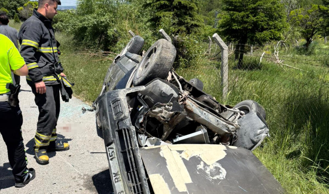 Süleyman B. idaresindeki 43 RK 157 plakalı otomobil, Kütahya-Afyonkarahisar kara
