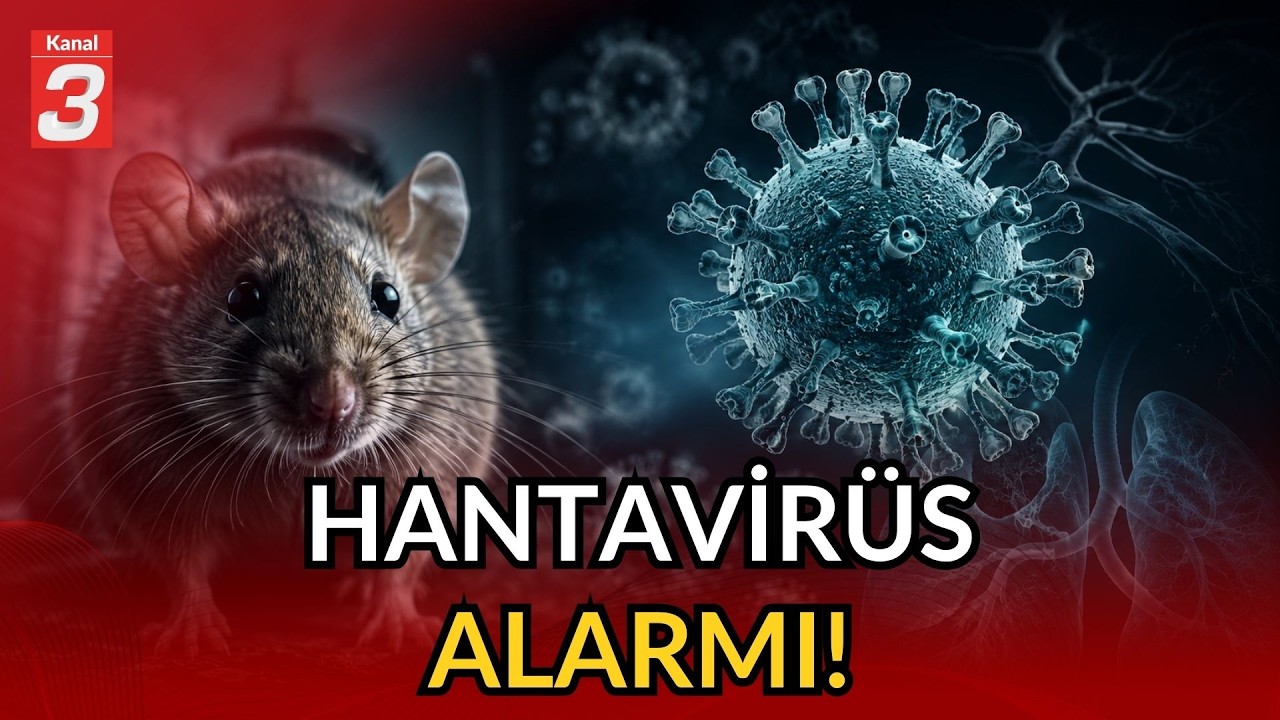 Hantavirüs Alarmı! | Yeni Pandemi mi geliyor?