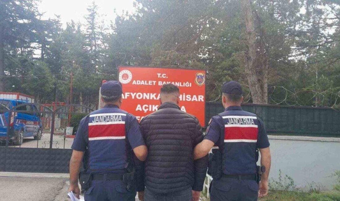 Afyonkarahisar’da jandarma tarafından son bir hafta içerisinde gerçekleştirilen denetimlerde çeşitli