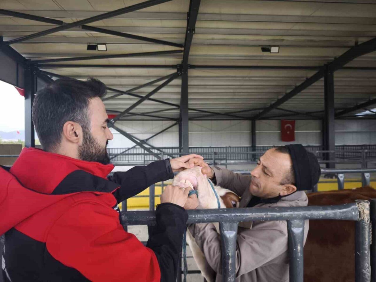 Afyonkarahisar Tarım ve Orman İl Müdürlüğü ekipleri yaklaşan Kurban Bayram