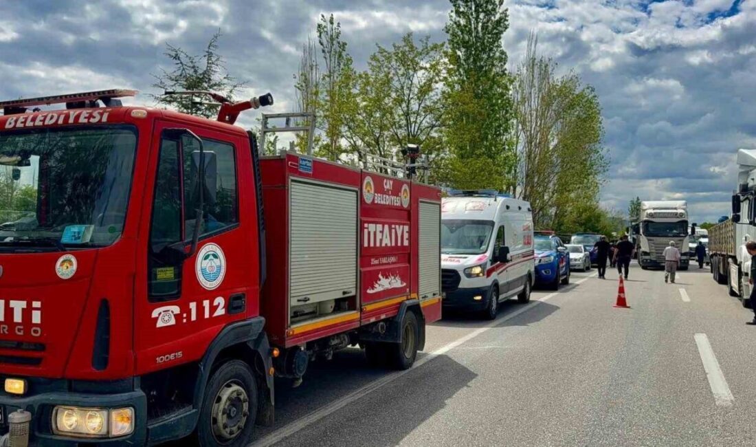 Afyonkarahisar’da kontrolden çıkan minibüsün yol kenarındaki ağaca çarptığı kazada 2