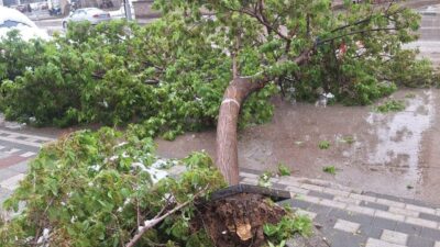 AFYONKARAHİSAR (AA) – Sandıklı ilçesinde yoğun kar yağışı, hayatı olumsuz