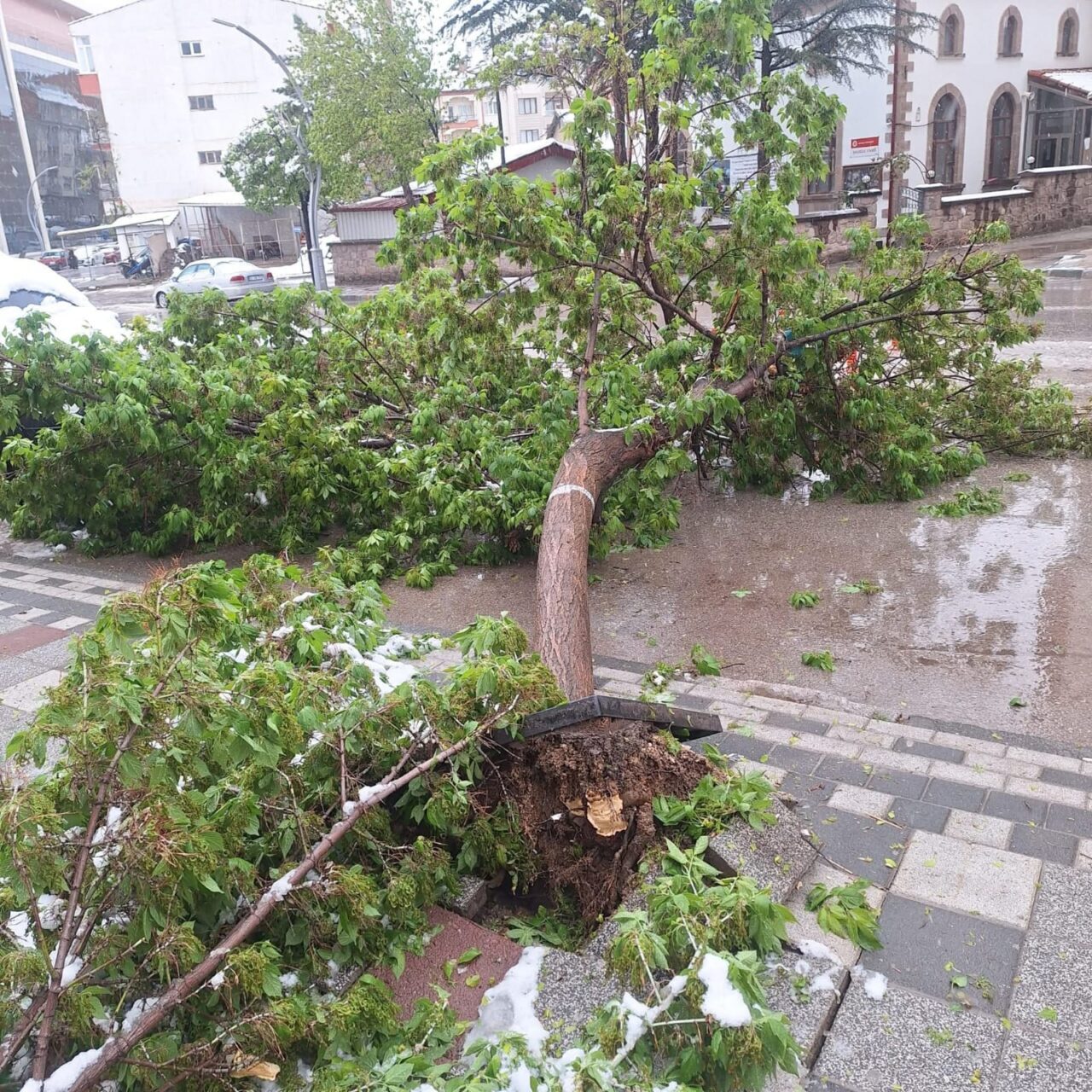 AFYONKARAHİSAR (AA) – Sandıklı ilçesinde yoğun kar yağışı, hayatı olumsuz