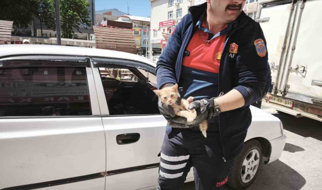 Afyonkarahisar’ın Dinar ilçesinde otomobilin motor kısmına sıkışan yavru kedi itfaiye