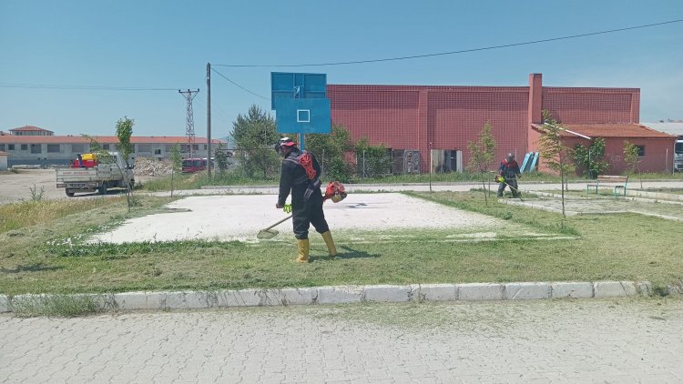 şuhut belediyesi 